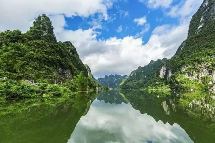侯明昊林允为宠物狗敷面膜,谁留意额头写啥了?可爱度直接爆表